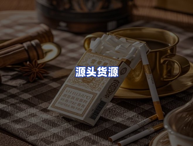 专业团队